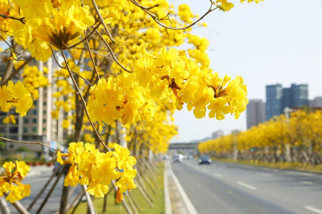 转存图片