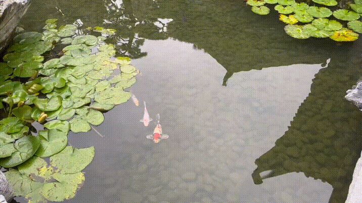 转存图片