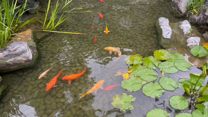 转存图片