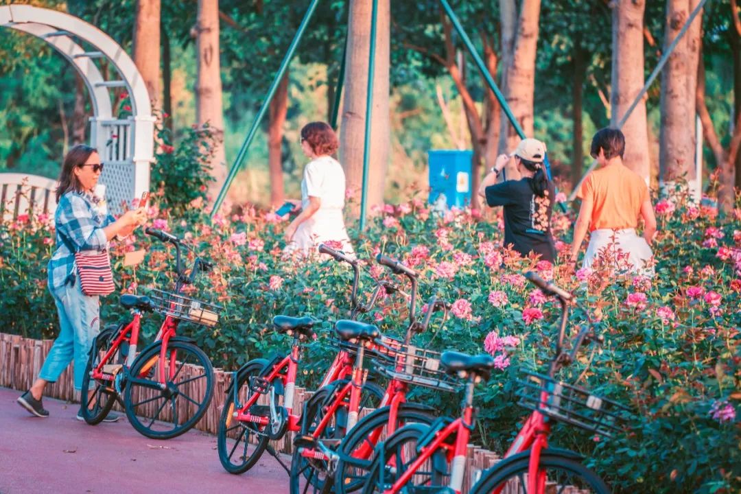 微信图片_20230304213905.jpg