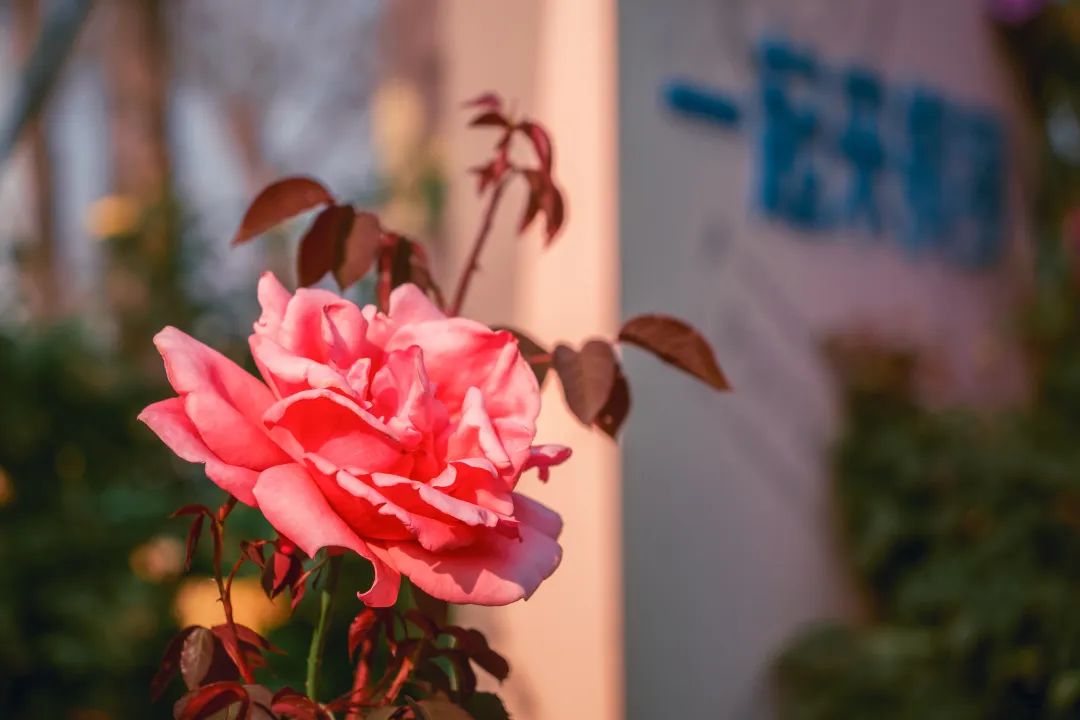 微信图片_20230304213919.jpg