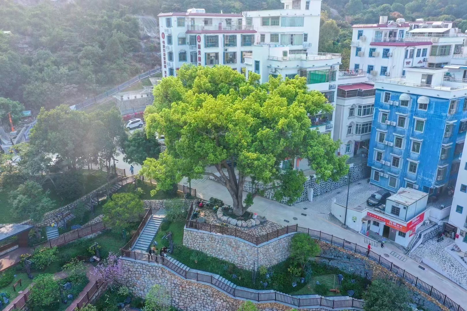 微信图片_20230316160443.jpg