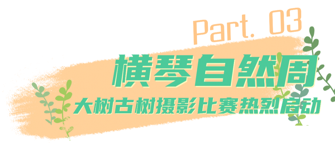 2.png 图片
