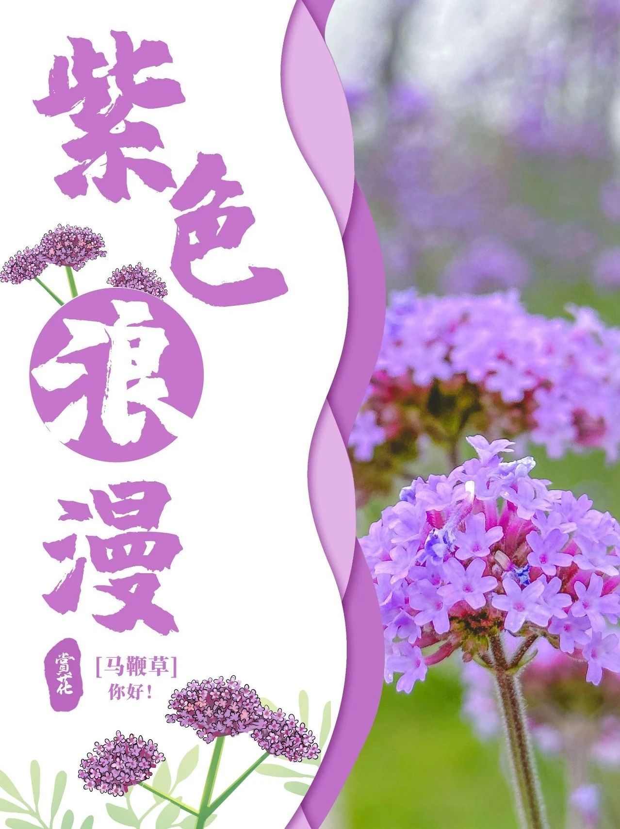 微信图片_20230425094837.jpg