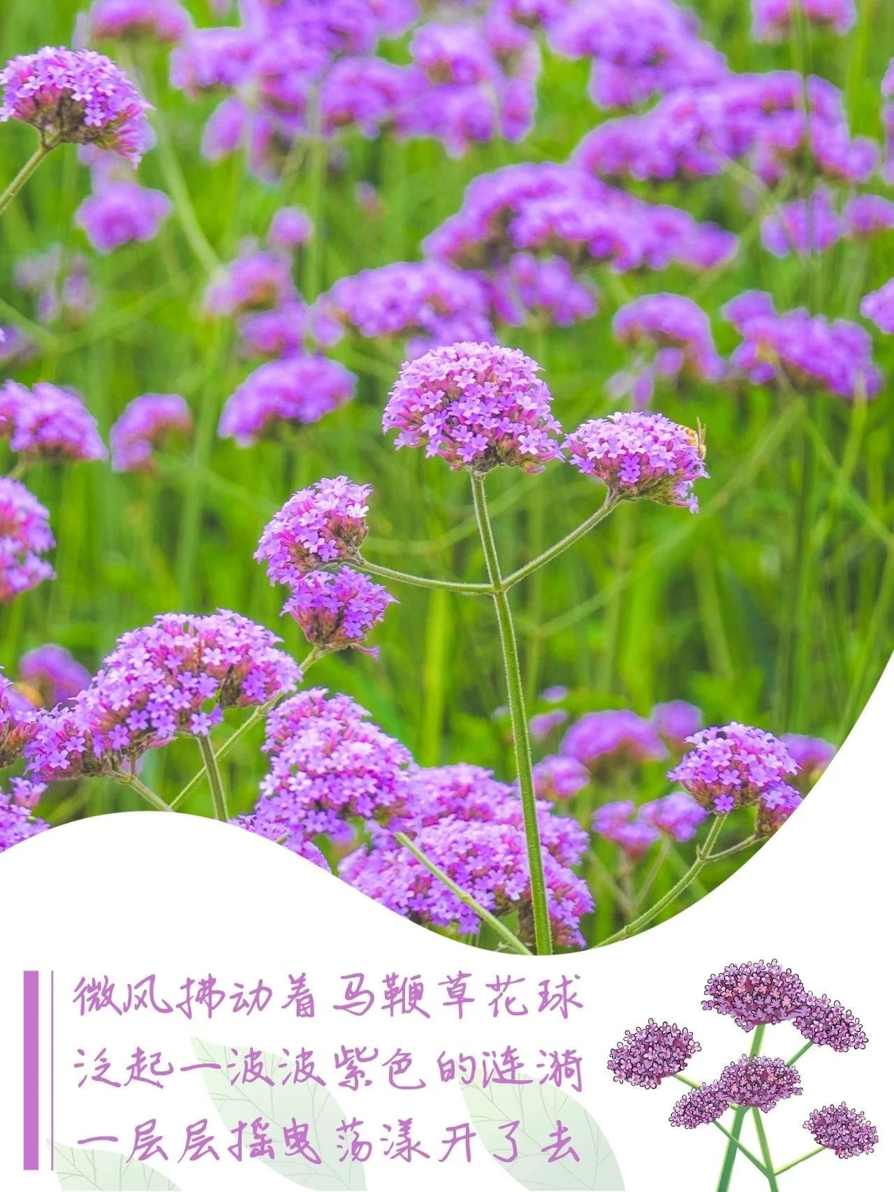 微信图片_20230425094848.jpg