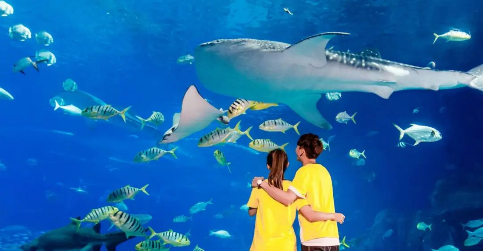 新建 DOC 文档474.png