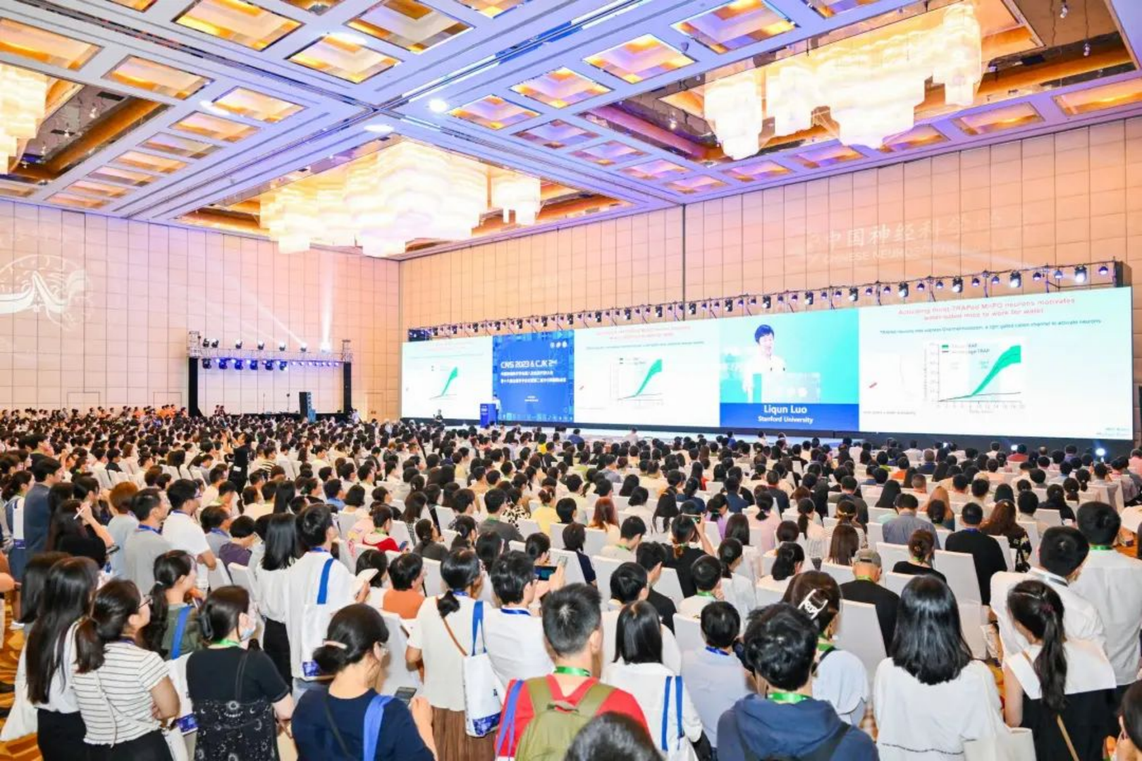 新建 DOC 文档.html21776.png