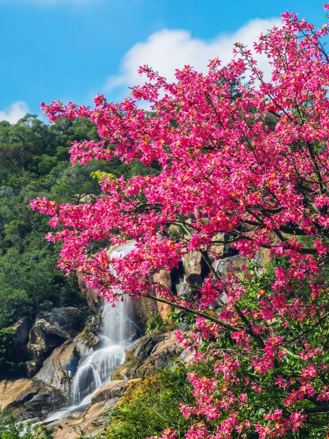 新建 DOC 文档20.jpg