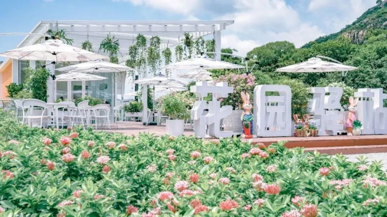 新建 DOC 文档417.png