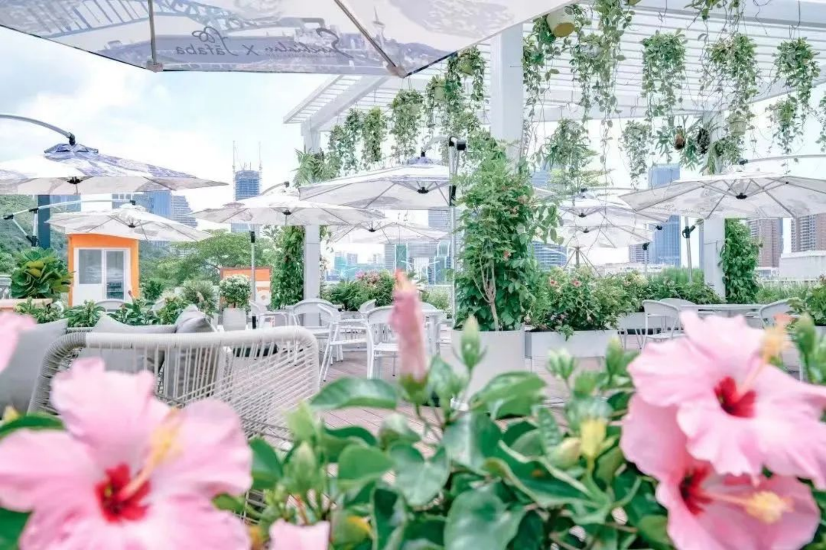 新建 DOC 文档544.png