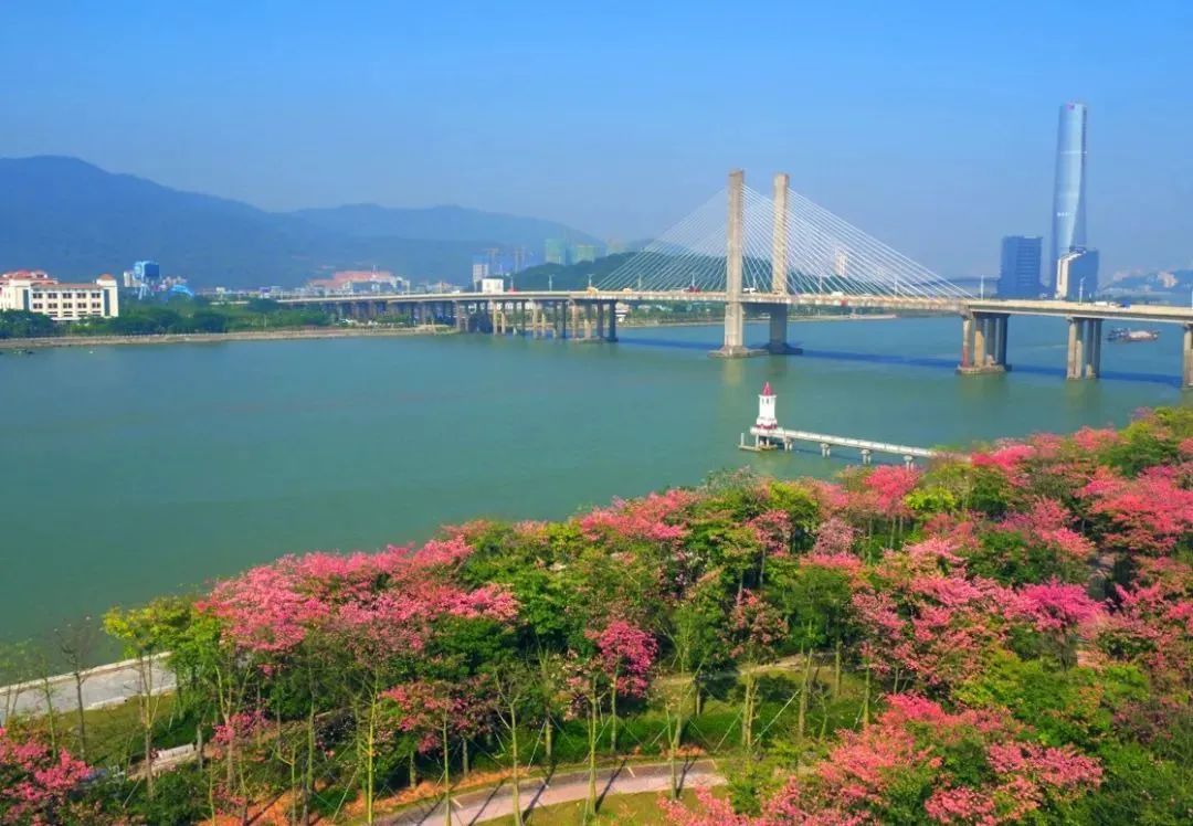 image005.jpg 图片