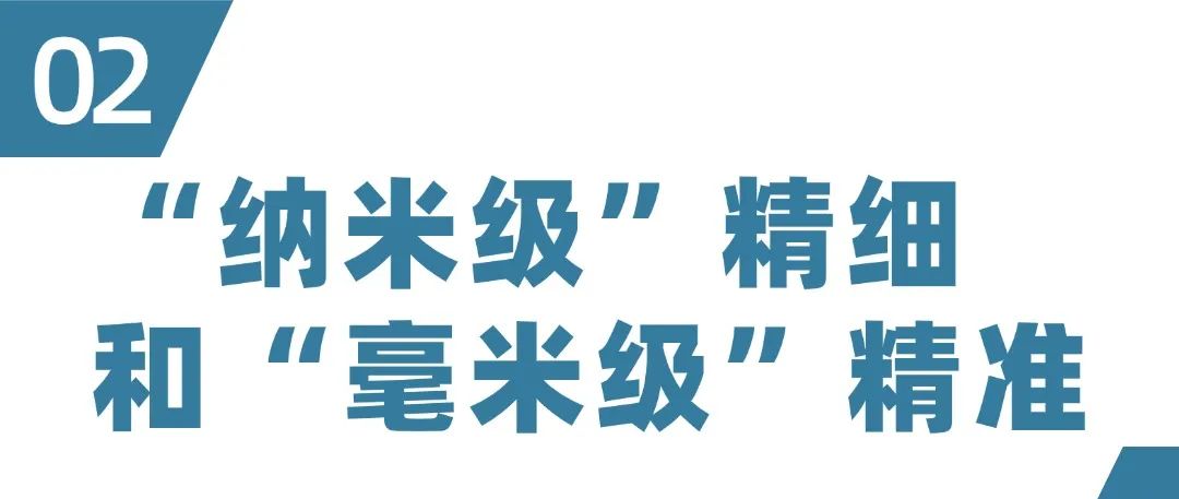 序号编号文字政务文章小标题 (2).jpg