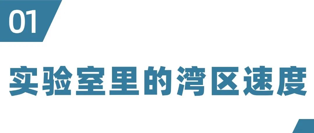 序号编号文字政务文章小标题 (3).jpg