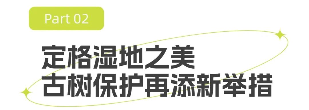 T250210183511-原始文件PSD - 副本 (1).jpg