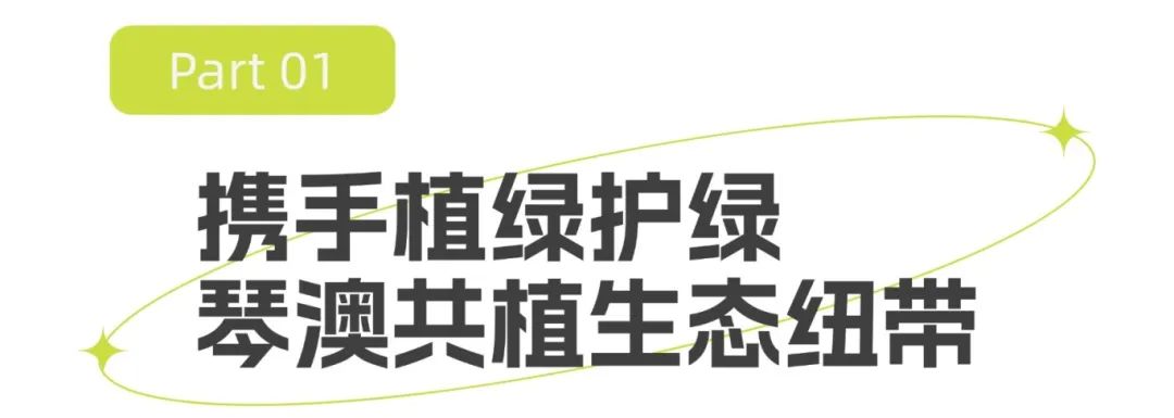 T250210183511-原始文件PSD - 副本.jpg