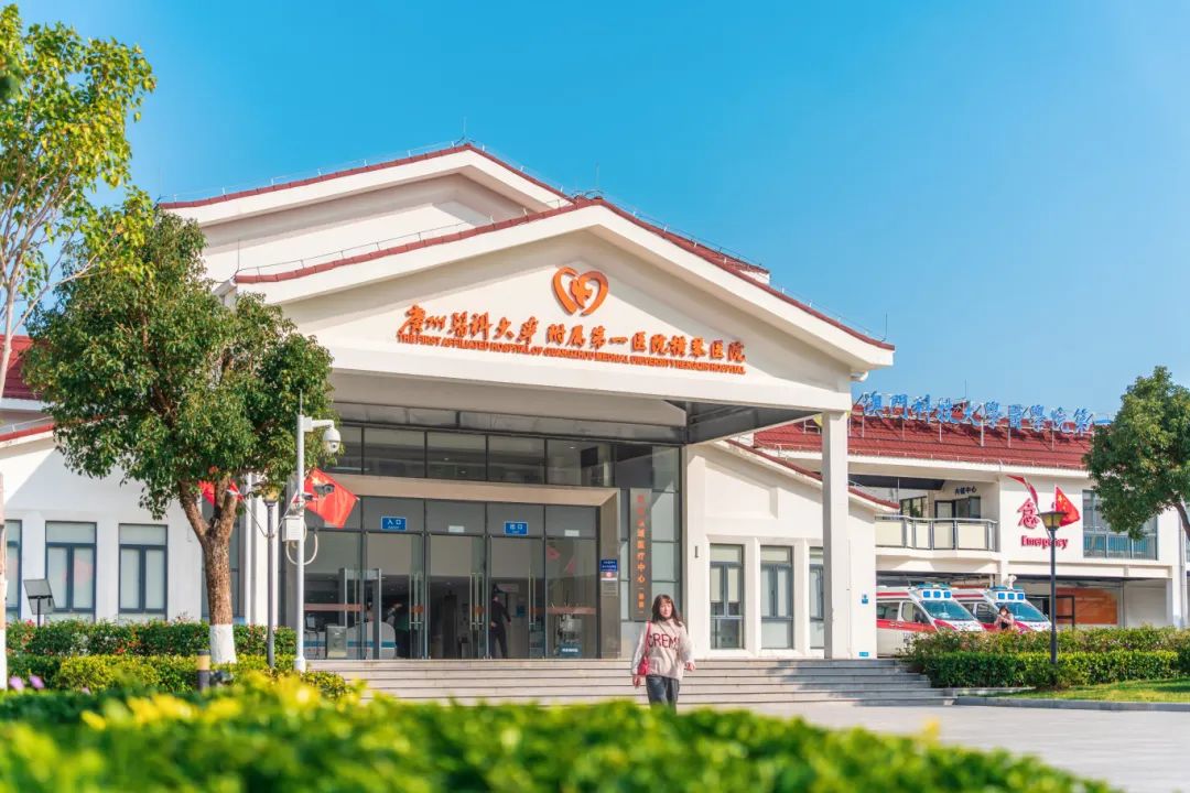 横琴医院新标图 (3).jpg