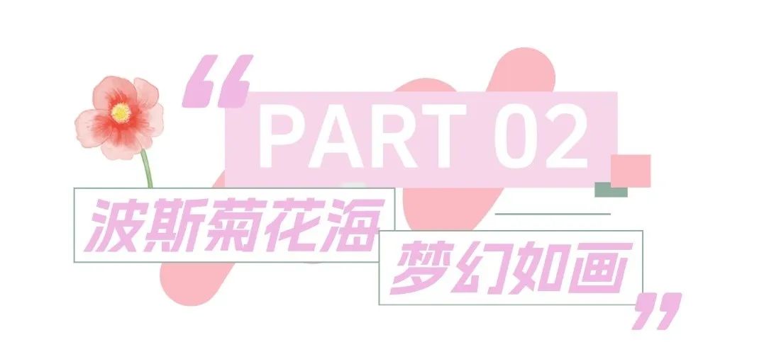 上传文件 (1).jpg