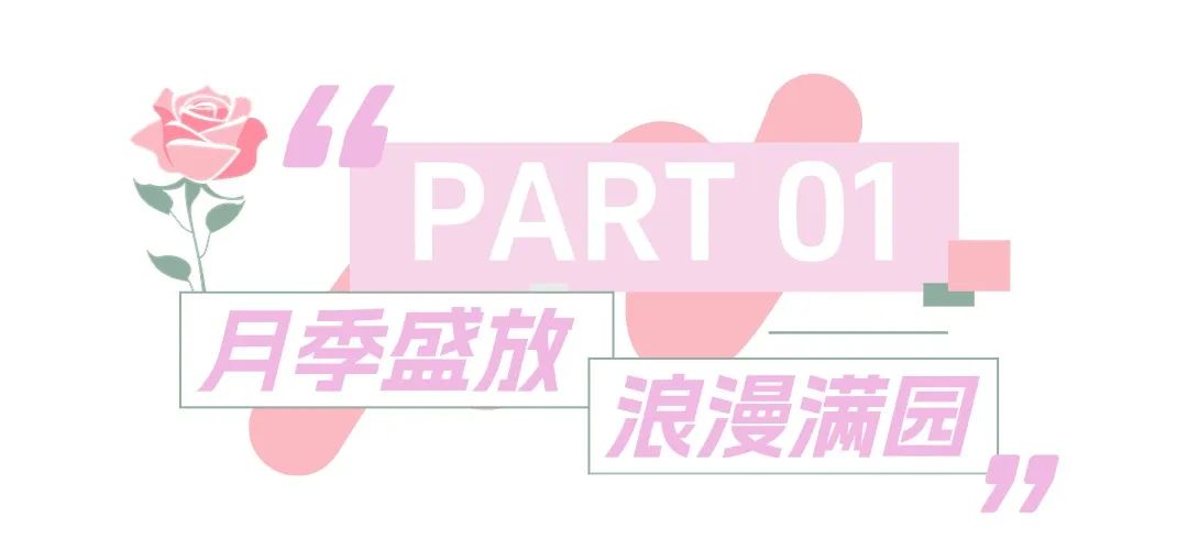 上传文件 (2).jpg