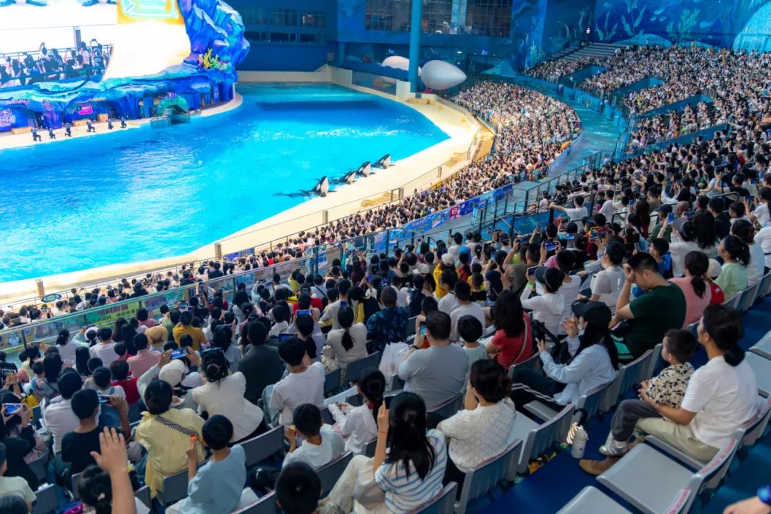 白鲸剧场《海洋奇遇》.jpg
