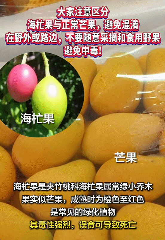 GIF 3-6-2025 下午 3-38-23.gif