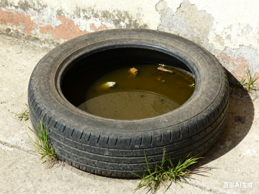 废弃轮胎.png