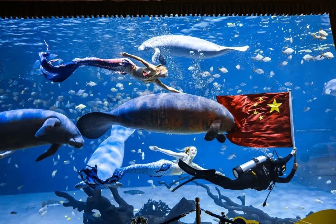 长隆海洋王国鲸鲨馆深海献礼.jpg