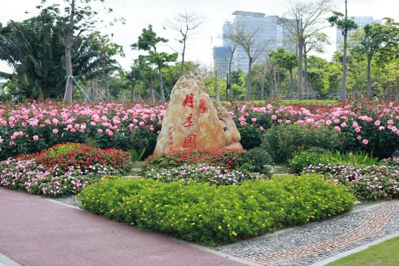 图片5.png