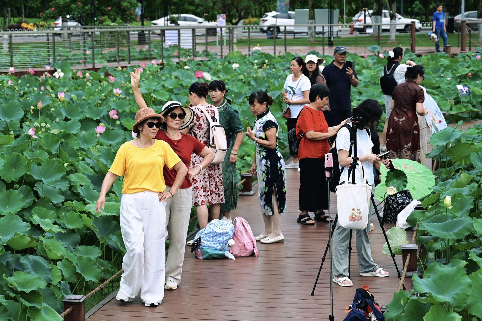 现场游客.jpg
