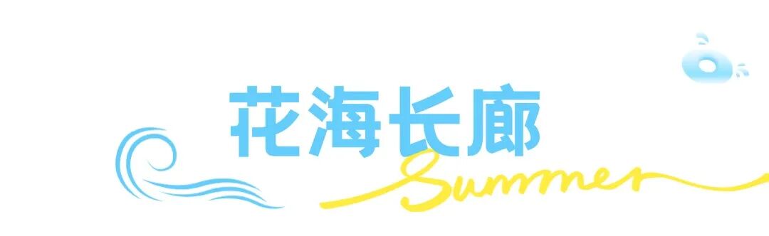 这个夏天想要和你一起去浪banner (5).jpg