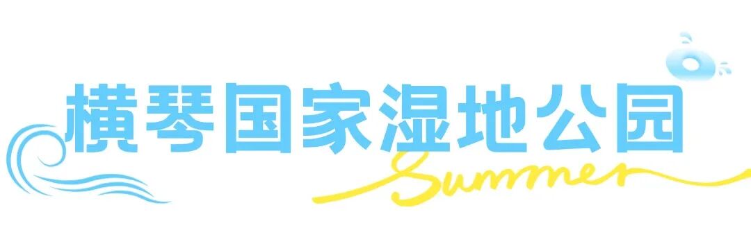 这个夏天想要和你一起去浪banner (6).jpg