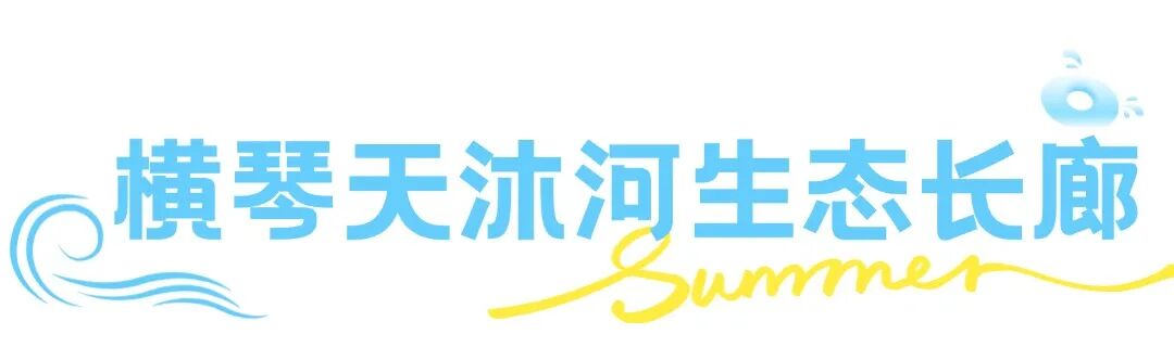 这个夏天想要和你一起去浪banner (10).jpg