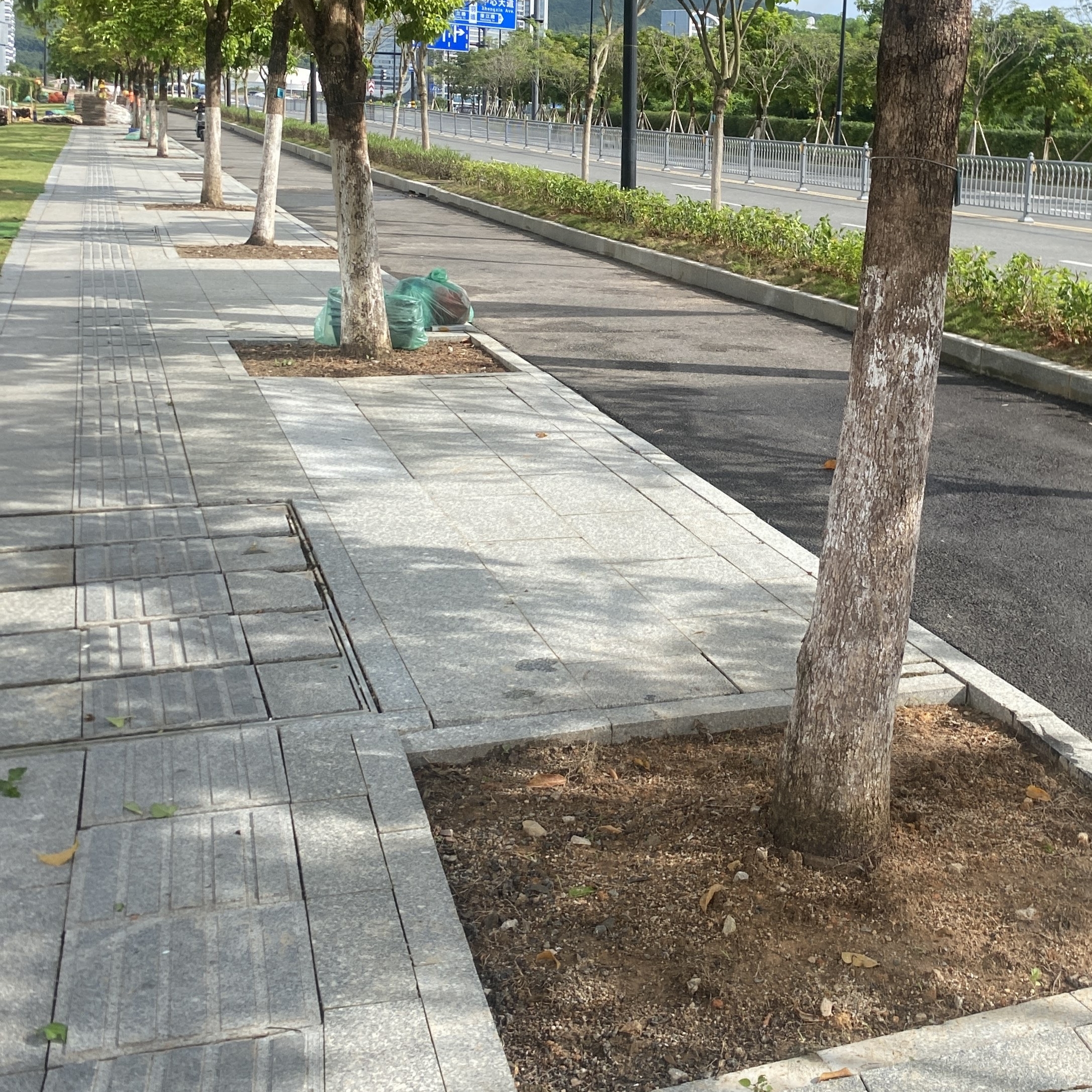 树池改造前 (1).jpg