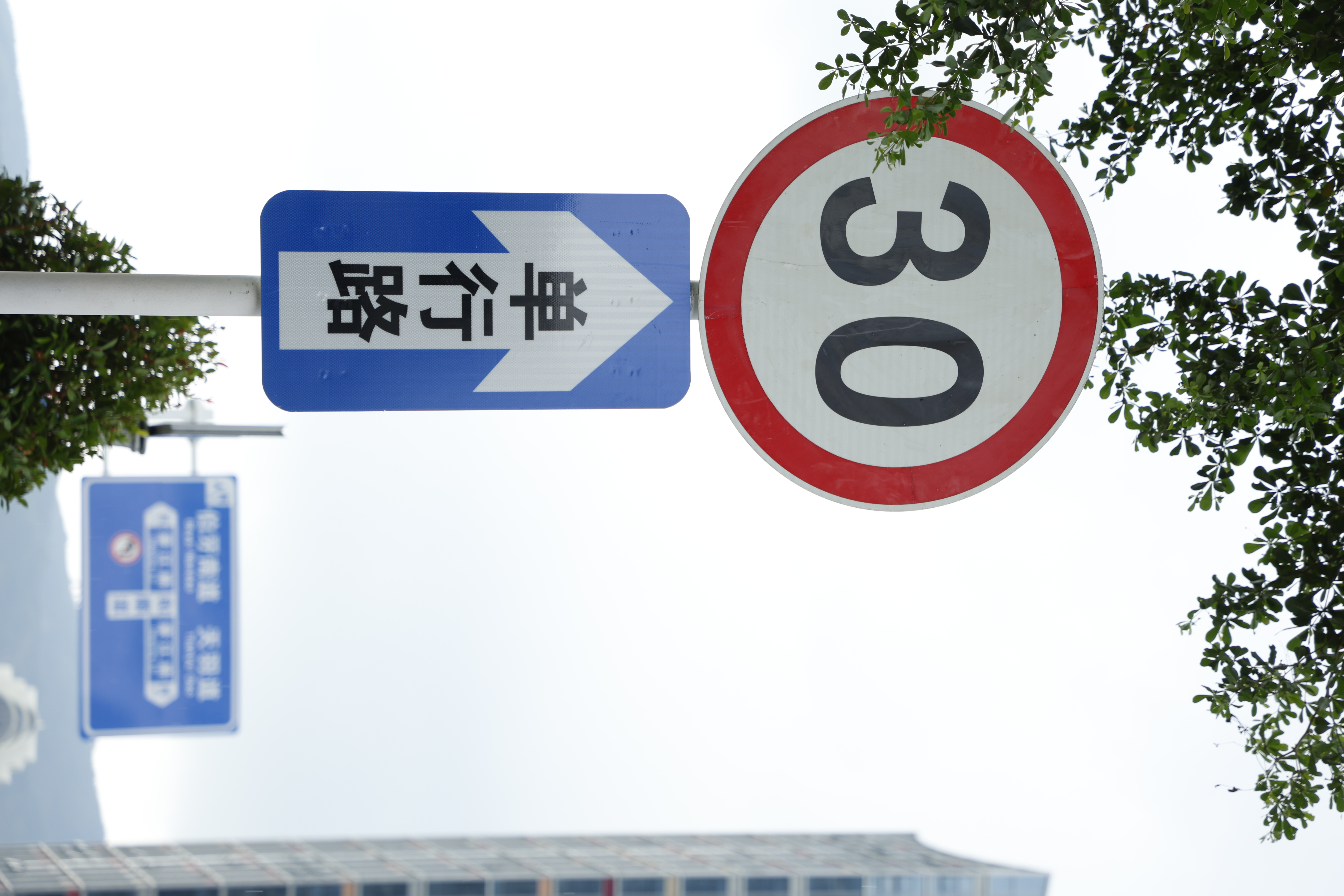 将原有双向两车道优化调整为单向双车道，并增设标志牌 (3).JPG