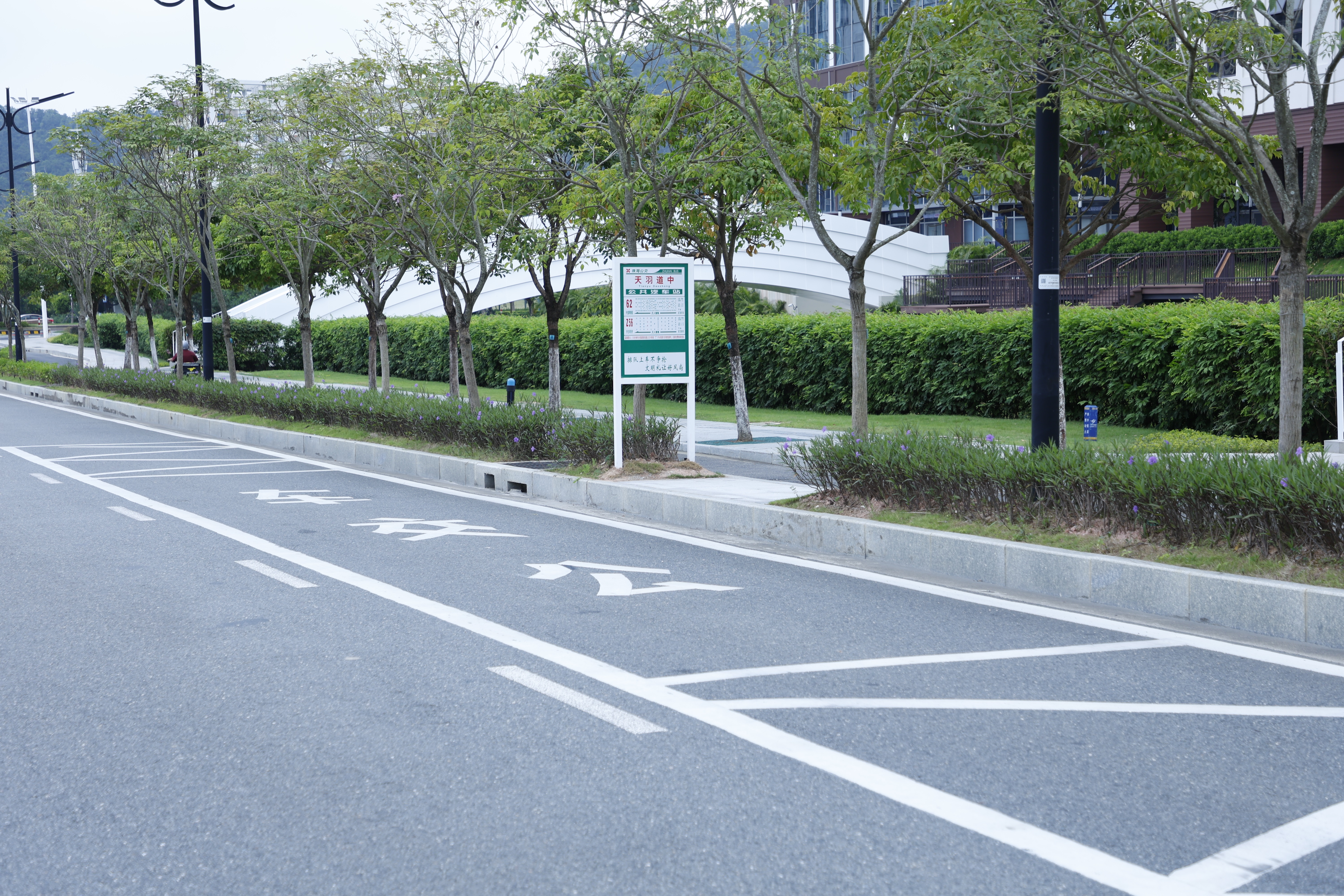 增设临时公交停靠点，施划公交专属地面标线.JPG