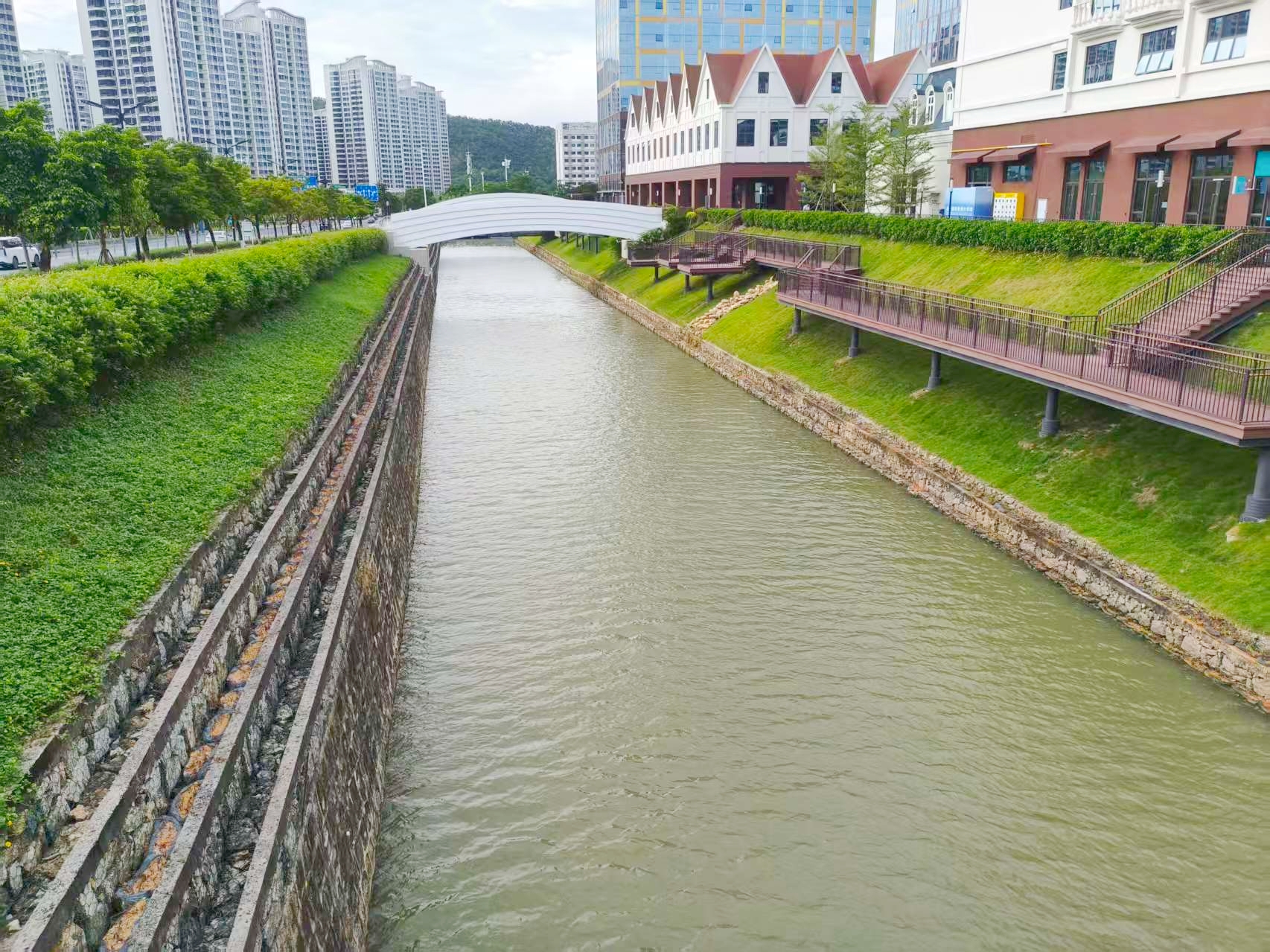 排洪渠沿线绿化提升工程 (2).jpg