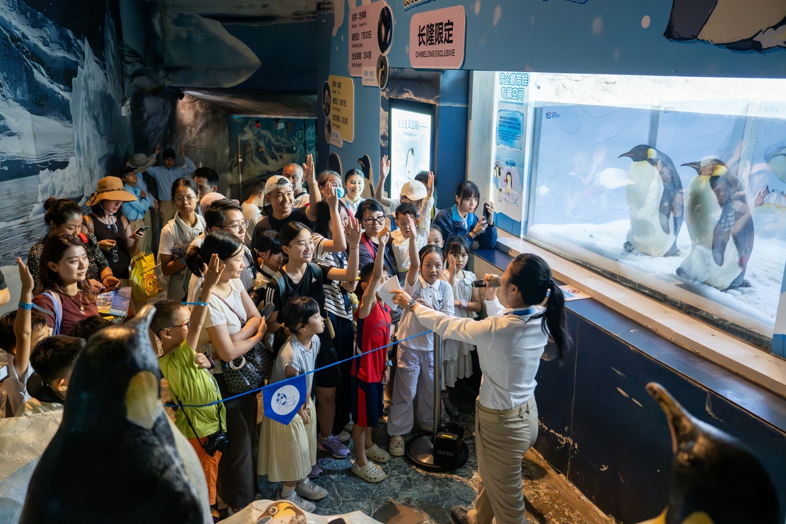 ee2dd782-55d2-47da-9210-404dc9cbdd1c.jpg