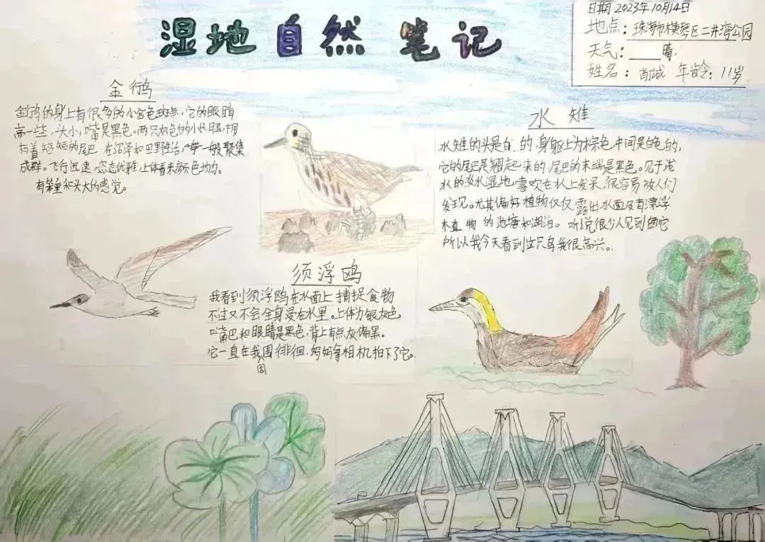 工作动态- 横琴粤澳深度合作区官网